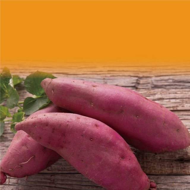 かんしょ|野菜の作業おたすけ帳|営農情報 営農PLUS|農業 かんしょ|野菜の作業おたすけ帳|営農情報 営農PLUS|農業