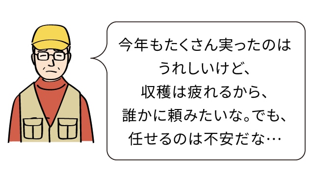 今年もたくさん実ったのはうれしいけど、収穫は疲れるから、誰かに頼みたいな。でも、任せるのは不安だな…
