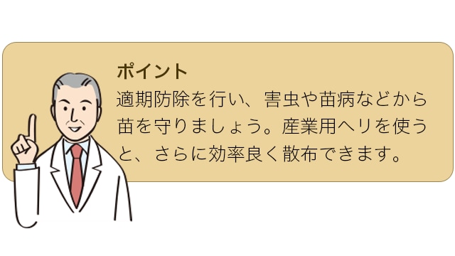 適期防除を行い、害虫や苗病などから苗を守りましょう。産業用ヘリを使うと、さらに効率良く散布できます。