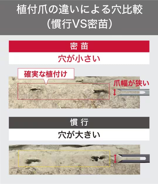 植付爪の違いによる穴比較（慣行VS密苗）