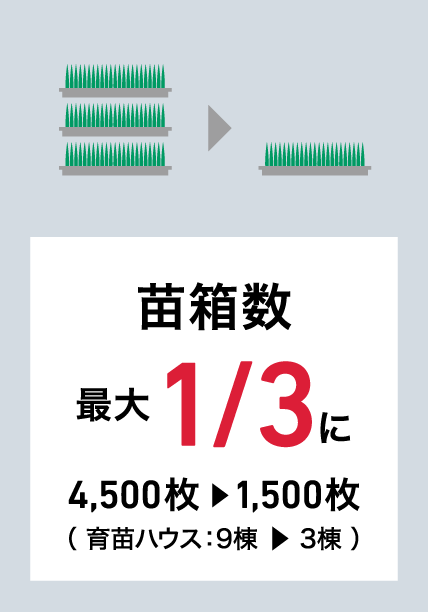 苗箱数最大1/3
