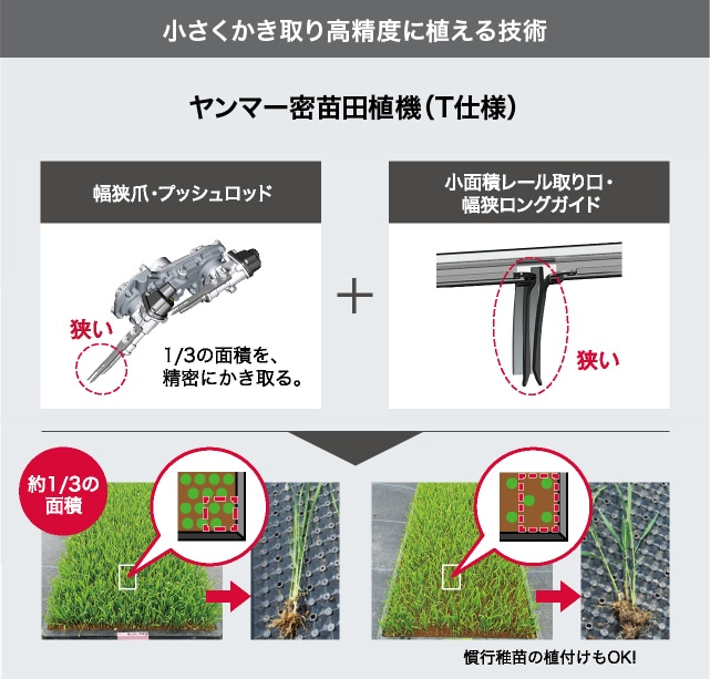 小さくかき取り高精度に植える技術 ヤンマー密苗田植機（T仕様） 幅狭爪・プッシュロッド＋小面積レール取り口・幅狭ロングガイド 約1/3の面積を、精密にかき取る。