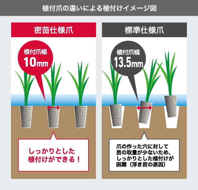 植付爪の違いによる植付イメージ。密苗仕様爪の植付爪幅は10mmだから、しっかりとした植付けができる！一方、標準仕様爪の植付爪幅は13.5mmで、爪のつくった穴に対して苗の取り量が少ないため、しっかりとした植付けが困難。浮き苗の原因となる。