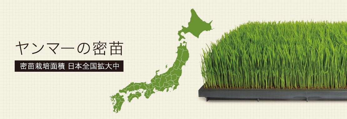 ヤンマーの密苗。密苗栽培面積が日本全国で拡大中。2017年度、約5400ha。密苗のススメ ヤンマーの「密苗」