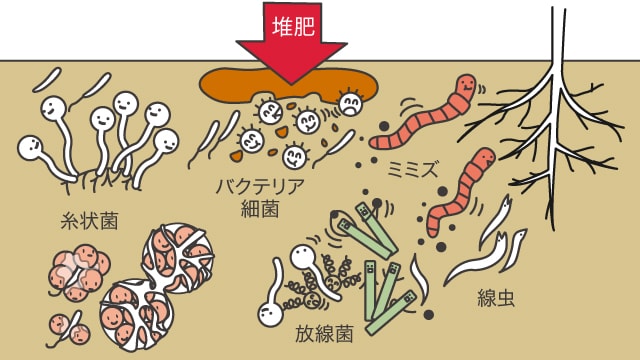 有機物投入 土づくり作業のポイント 土づくりのススメ 営農plus 農業 ヤンマー