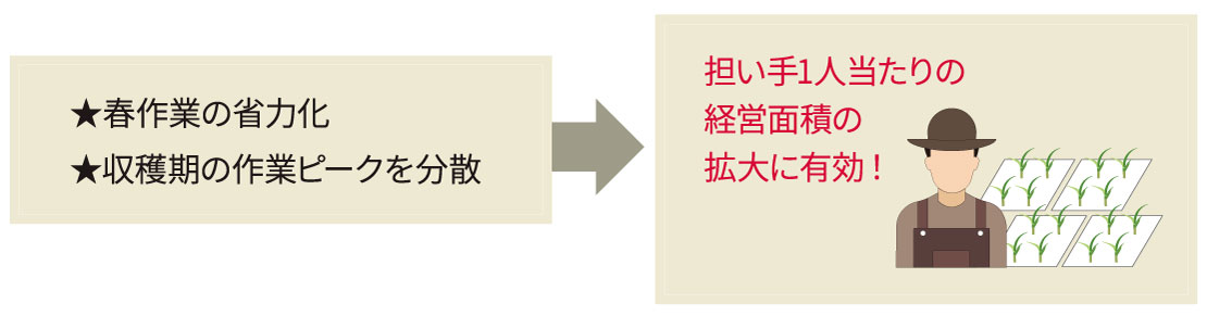 春作業の省力化、収穫期の作業ピークを分散→担い手1人当たりの経営面積の拡大に有効！