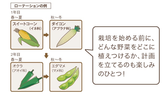 知っておきたい野菜づくりの基本 畑 で野菜栽培 ごちそう 家庭菜園 わたしのアグリライフ 農業 ヤンマー