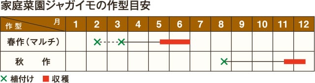 家庭菜園ジャガイモの作型目安