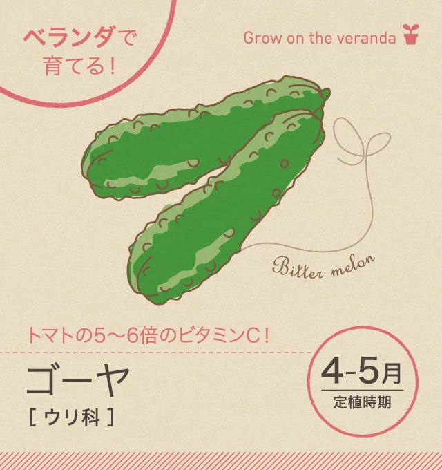 ゴーヤ ベランダ で野菜栽培 ごちそう 家庭菜園 わたしのアグリライフ 農業 ヤンマー