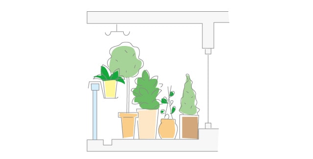 はじめよう ベランダ菜園 ベランダ で野菜栽培 ごちそう 家庭菜園 わたしのアグリライフ 農業 ヤンマー