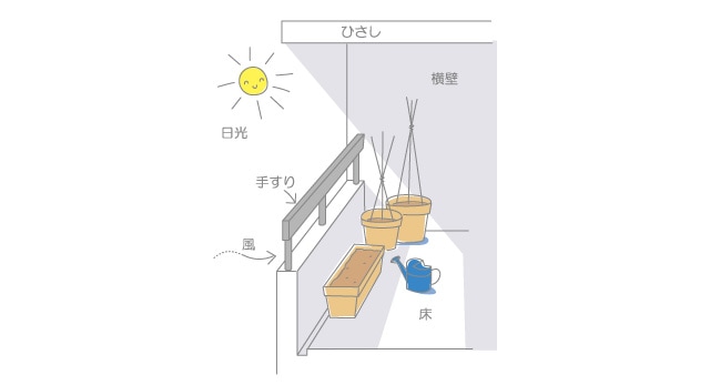 はじめよう ベランダ菜園 ベランダ で野菜栽培 ごちそう 家庭菜園 わたしのアグリライフ 農業 ヤンマー