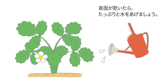 イチゴの花