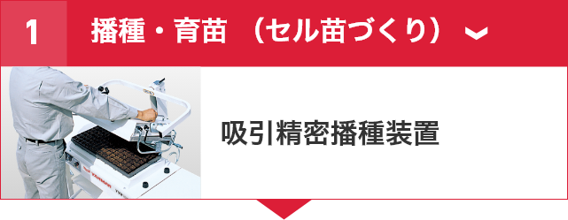 たまねぎ機械化体系｜野菜関連機器コーナー｜オンラインEXPO 2025