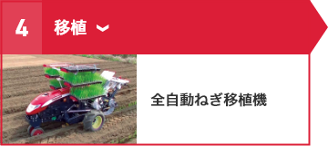 ④移植 全自動ねぎ移植機