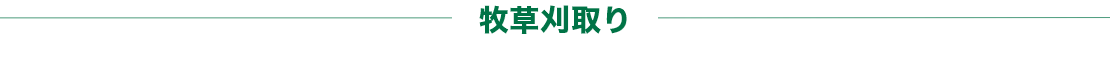 牧草刈取り