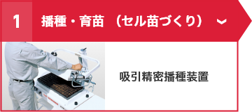 ①播種・育苗（セル苗づくり） 吸引精密播種装置