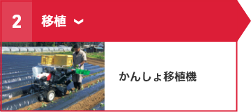 ②移植 かんしょ移植機
