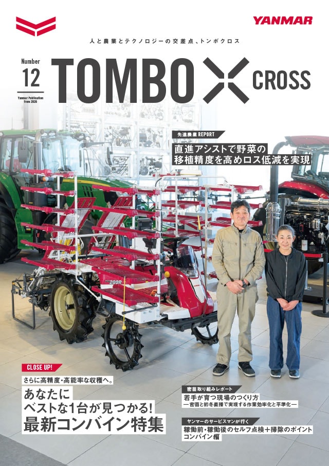 最新刊 トンボクロス 12