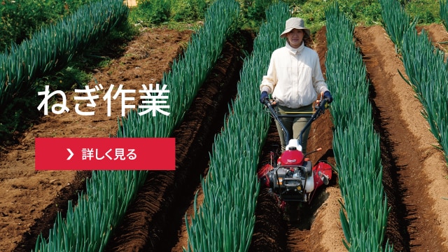 YK301SK/YK451SK/YK651SK｜ミニ耕うん機・管理機 - 管理機｜製品