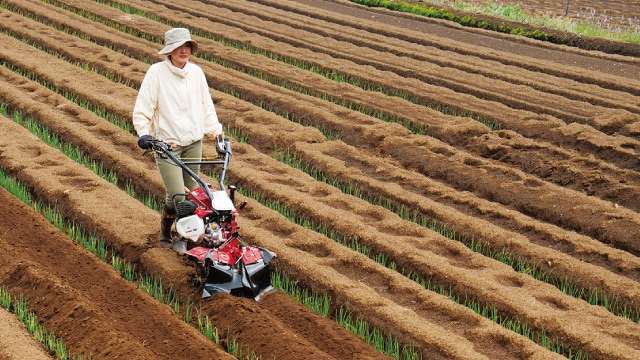 YK-SK ねぎ埋め戻し