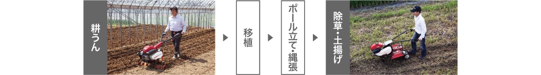 耕うん→移植→ボール立て・縄張→除草・土揚げ