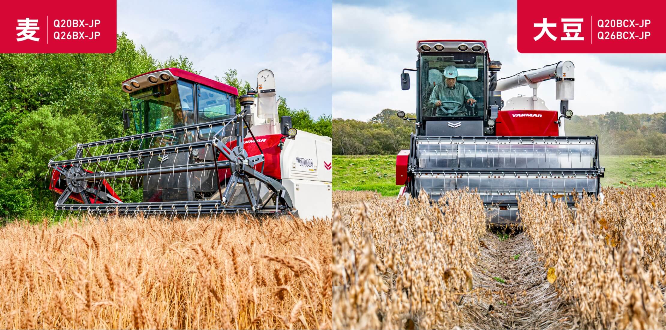 Q20BX-JP（麦仕様）・Q26BX-JP（麦仕様）、Q20BCX-JP・Q26BCX-JP