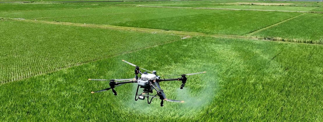 散布作業の様子