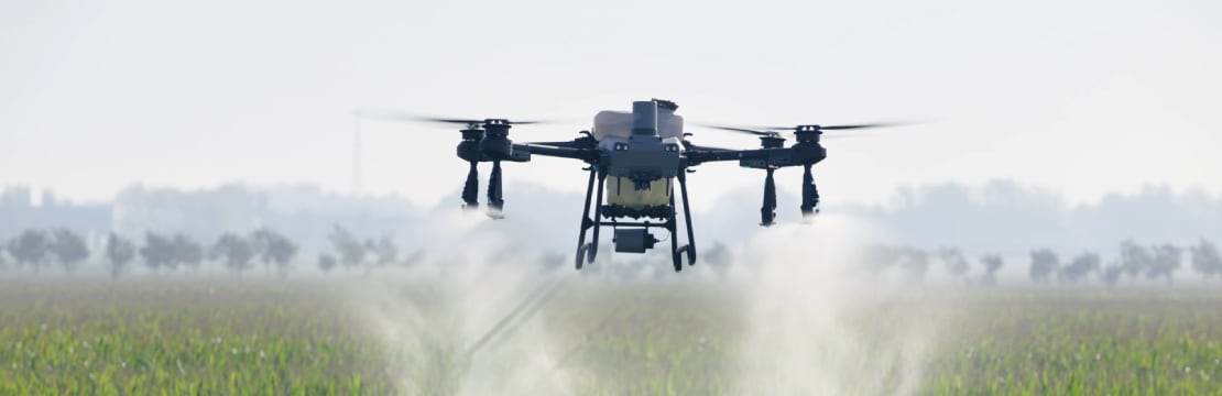 散布作業の様子