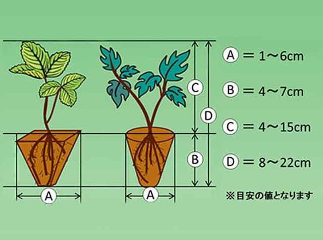 チェッキ＆マグリ （汎用野菜移植機）｜トラクター作業機｜製品