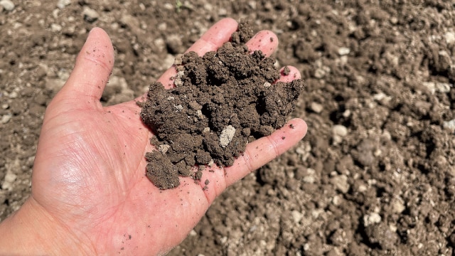 土壌の写真