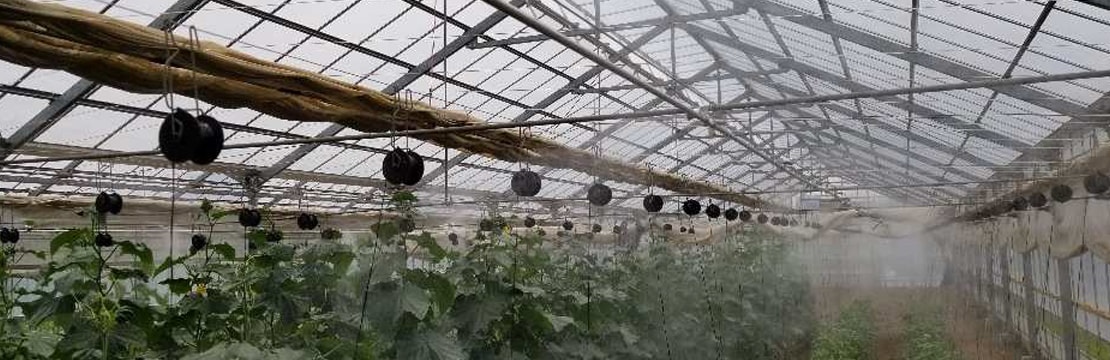 ミクロン細霧システム写真