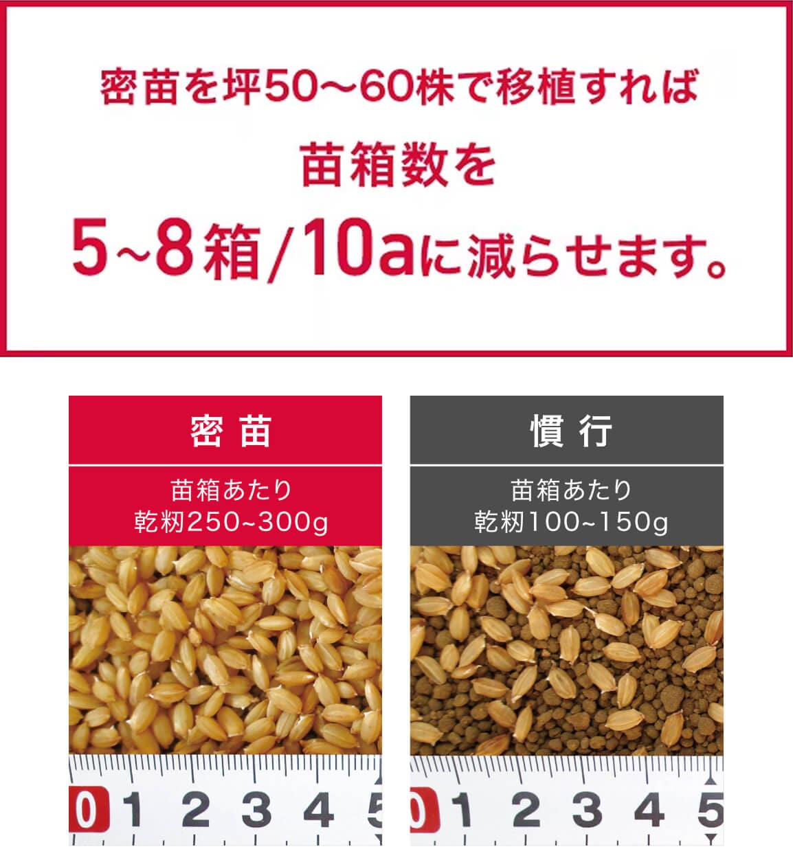 滋賀から　苗箱　大量set 密苗｜YR06・YR08｜田植機｜製品・サービス｜農業｜ヤンマー