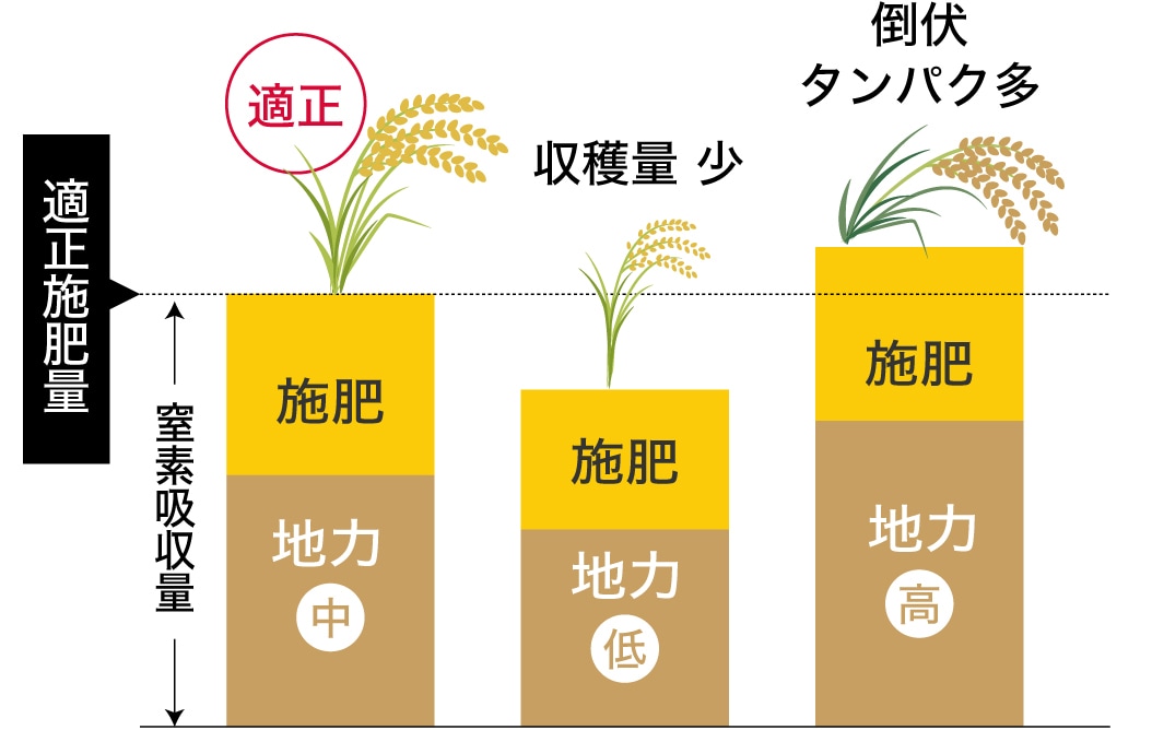 一定施肥の場合