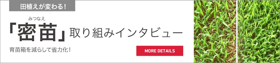 密苗インタビュー