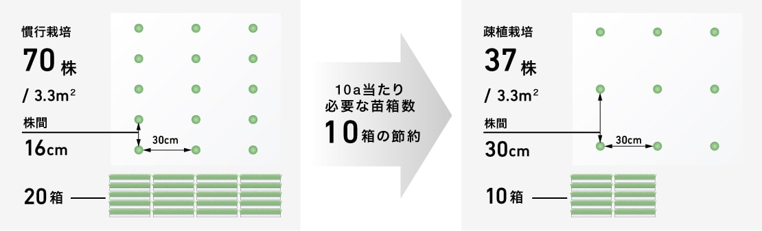 YRDシリーズ、疎植説明