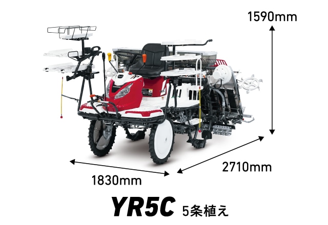 YR5C 5条植え