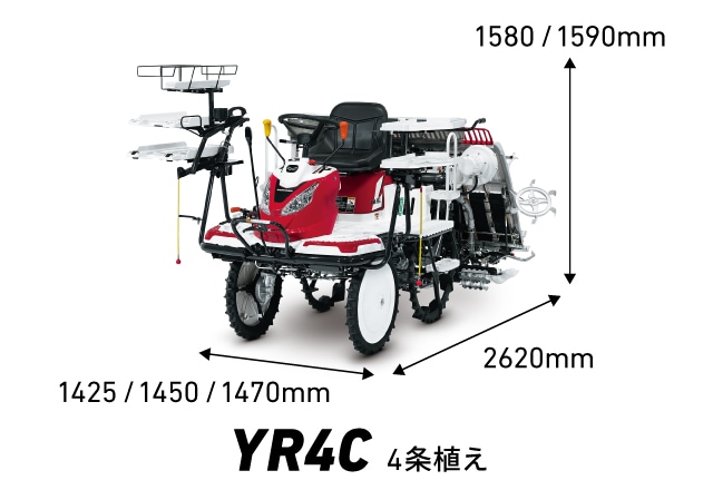 山採り　ヤマモミジ　リョウブ　混合株 山採り ヤマモミジ リョウブ 混合株 - メルカリ