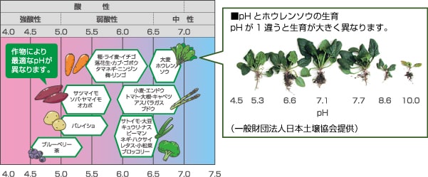 作物により、最適なpHが異なります。