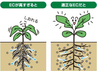 ECが高すぎる場合と適正の場合を比べた図