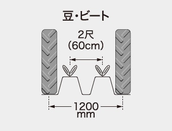 豆・ビート 2尺 (60cm) 1200mm