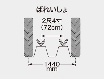 ばれいしょ 2尺4寸(72cm) 1440mm