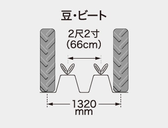 豆・ビート 2尺2寸(66cm) 1320mm
