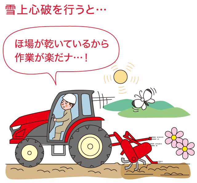 雪上心破を行うと…：ほ場が乾いているから作業が楽だナ…！