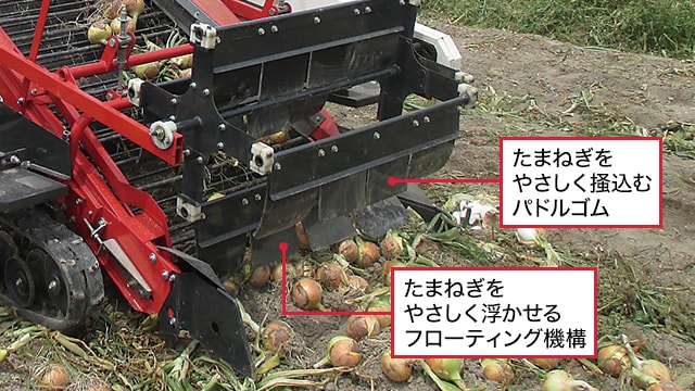 たまねぎをやさしく掻込むパドルゴム・たまねぎをやさしく浮かせるフローティング機構