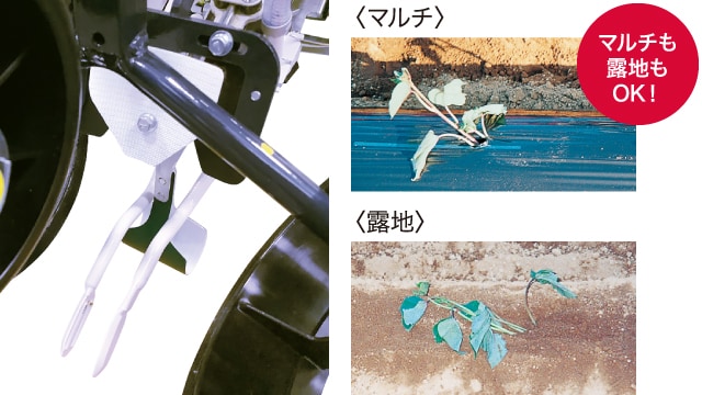 マルチも露地もOK！