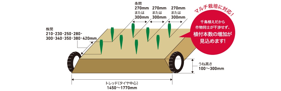千鳥植えだから作物同士が干渉せず、植付本数の増加が見込めます！