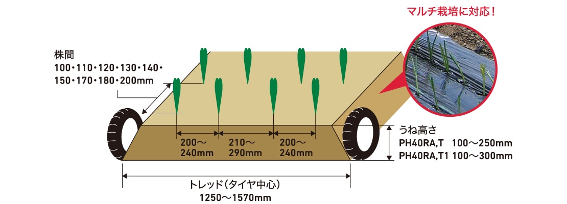 PH40RA,T1うね形状 マルチ栽培に対応！ 株間：100・110・120・130・140・150・170・180・200mm、トレッド（タイヤ中心）：1250～1570mm、うね高さ：PH40RA,T 100～250mm PH40RA,T1 100～300mm