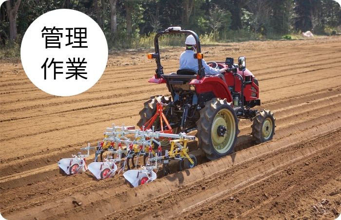 中耕除草