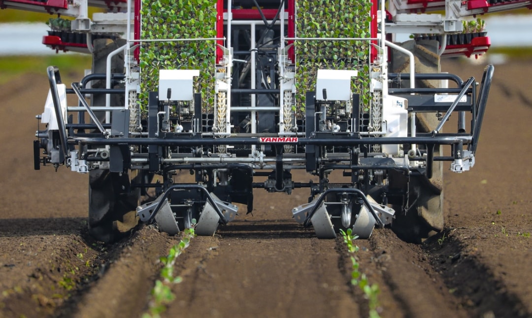 YANMAR 野菜移植機 野菜機器 - 野菜移植機｜製品・サービス｜農業｜ヤンマー
