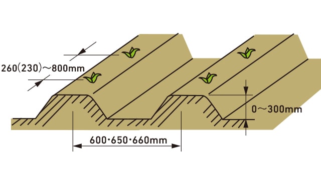 PW20R、1畦1条植え